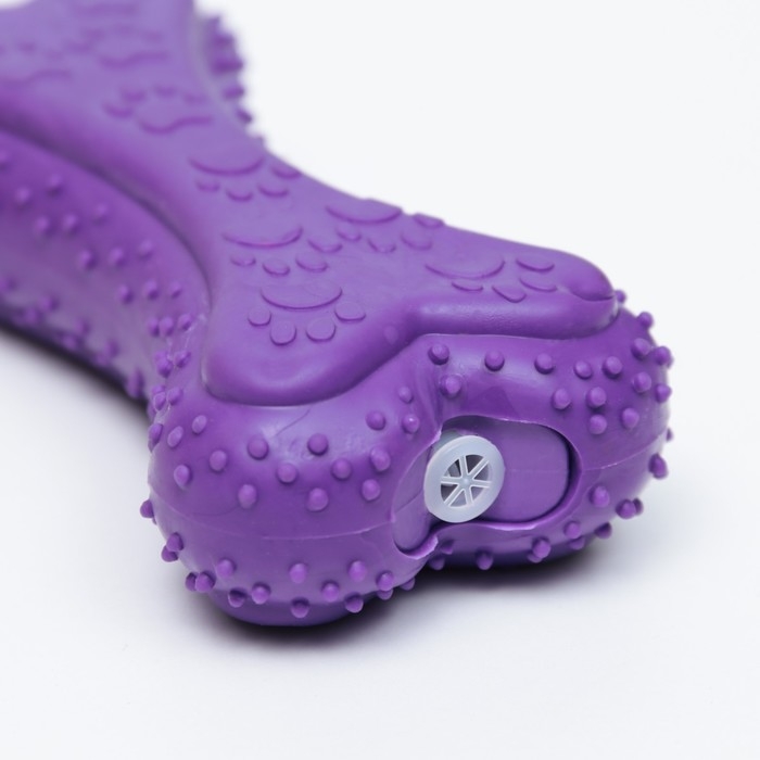 Игрушка жевательная Игрушка жевательная "Объемная кость с лапками", TPR, 12 см, фиолетовая