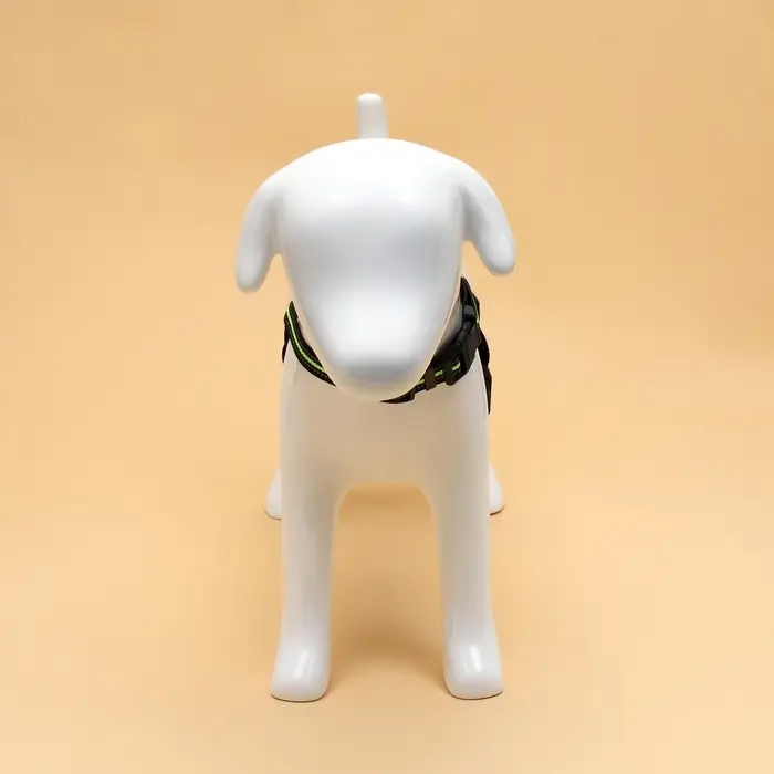 Шлейка улучшенная К7, размер S, ОГ 44-55 см, вес 5-9 кг, мягкая, светоотражающая, зелёная