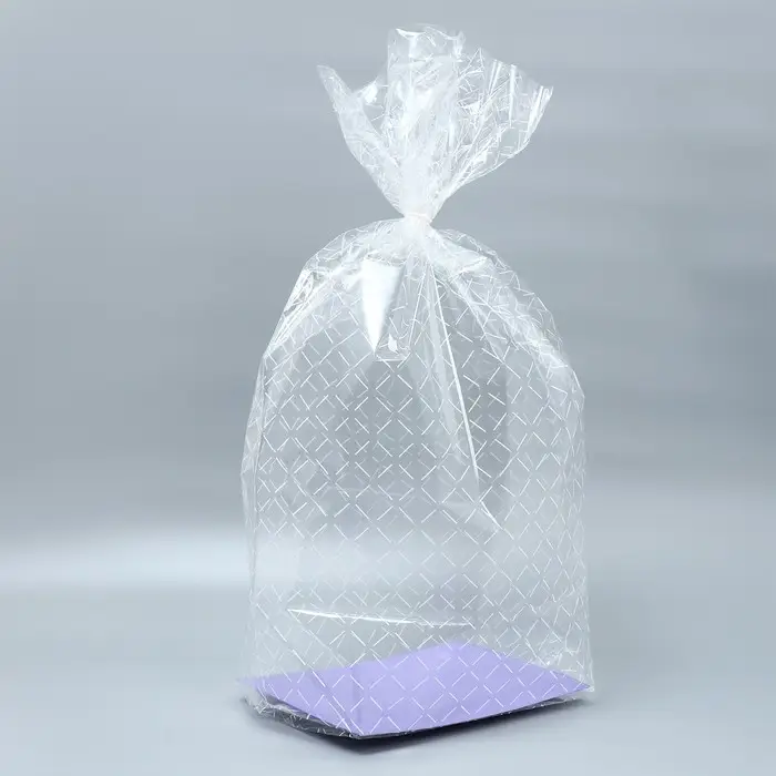 Пакет подарочный с жёстким дном, упаковка, &laquo;Линии&raquo;, 22 х 28 х 80 см