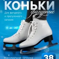 Коньки фигурные Winter Star Basic, размер 38
