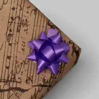 Бант - звезда №3.5, фасовка 8 шт., МИКС Бант - звезда №3.5, фасовка 8 шт., МИКС