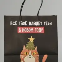 Пакет подарочный крафт &laquo;Найду новом году&raquo;, 22&times;22&times;11 см