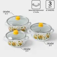 Кастрюли эмалированные &laquo;Мимоза&raquo;, набор 3 шт., 2 л, 3 л, 4 л, с деколью, белые