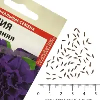 Семена цветов Петуния &laquo;Дуо&raquo;, F1, синяя, махровая, 10 шт.