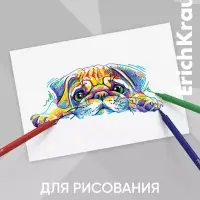 Фломастеры ErichKrause &laquo;Ну, Погоди! Каникулы&raquo;, 12 цветов, на водной основе, яркие цвета, вентилируемый колпачок