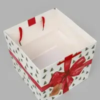 Квадратный пакет &laquo;Новый год&raquo;, 30 &times; 30 &times; 30 см