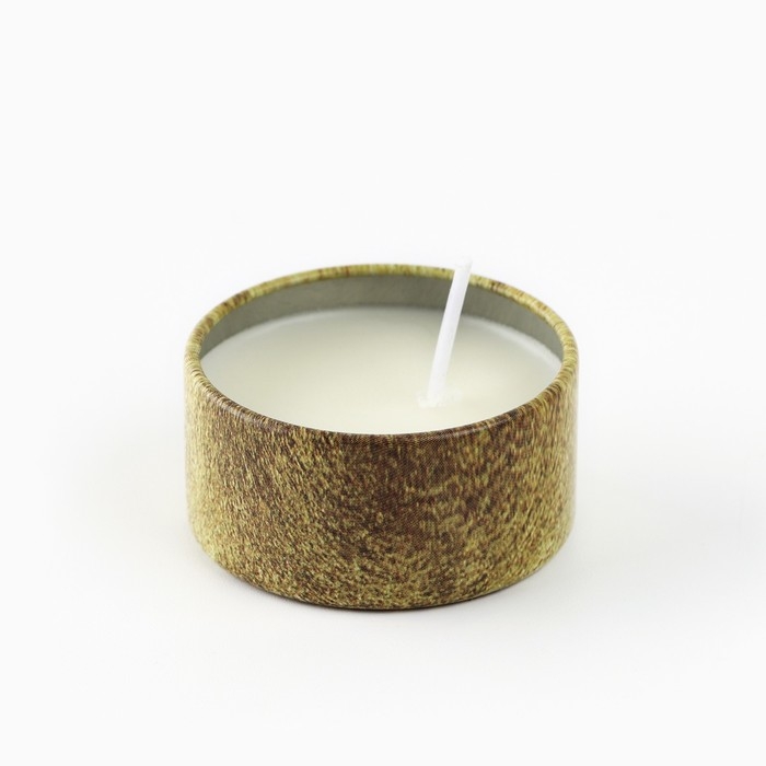 Свеча новогодняя в железной банке «Новый год: Золотая«Новый год: аромат ваниль, 4.8 см Свеча новогодняя в железной банке «Новый год: Золотая«Новый год: аромат ваниль, 4.8 см