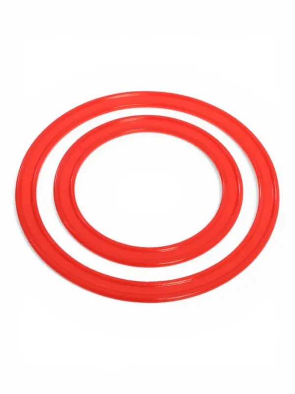 Игра &laquo;Кольцеброс&raquo;