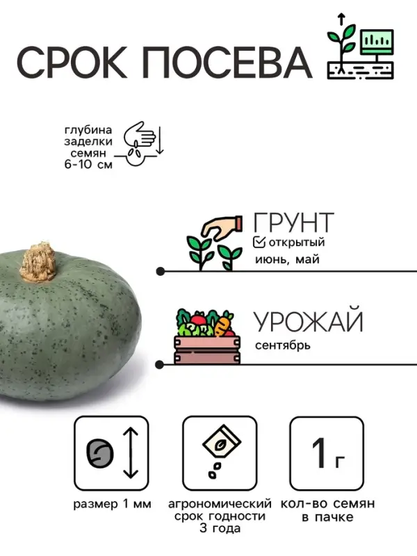 Семена Тыква &laquo;Мускатная Прованская&raquo;, 1 г, &laquo;Рецепты дедушки Никиты&raquo;