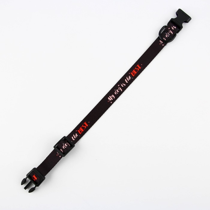 Ошейник My dog is the best, застёжка - фастекс, 2 см 25-40 см Ошейник My dog is the best, застёжка - фастекс, 2 см 25-40 см