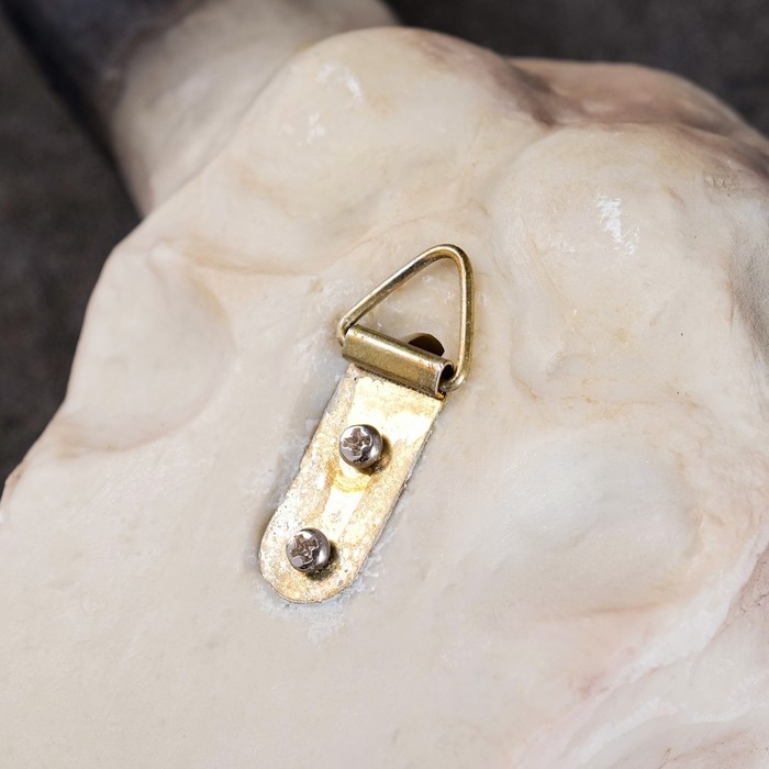 Настенный декор Настенный декор "Череп" 26*10*20см