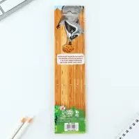 Магнитные закладки для книг "С печеньками интереснее", 4 шт