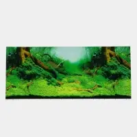 Фон для аквариума двухсторонний, 50&times;115 см