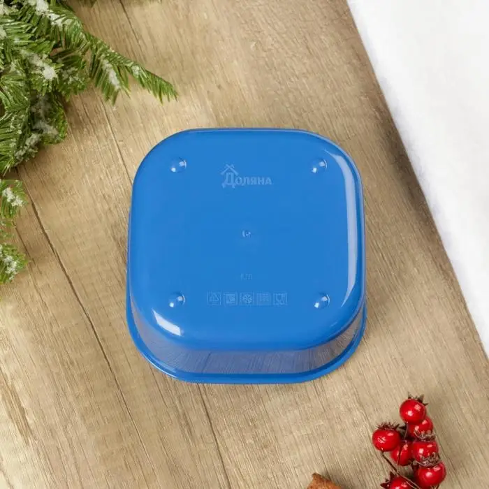 Ланч-бокс «Вкус нового года», 700 мл