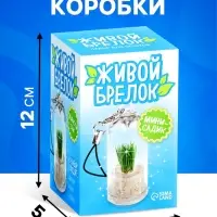 Набор для опыта &laquo;Живой брелок&raquo;, мини-сад, выращивание травы