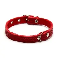 Ошейник, 1.2 см, ОШ 20-26 см, однослойный, неукрашенный, цвет и вид МИКС