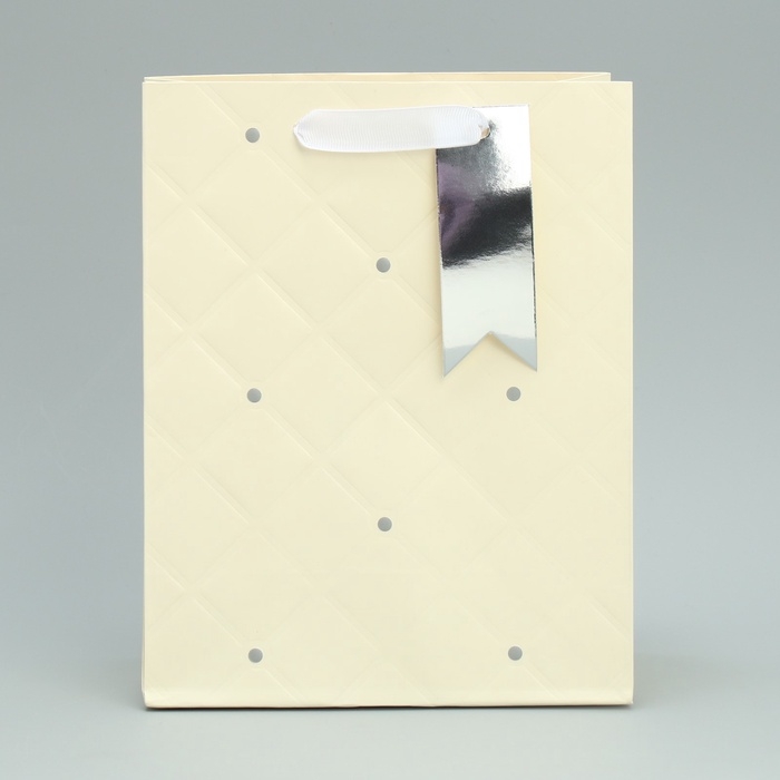 Пакет подарочный, упаковка, &laquo;Белый&raquo;, 23 х 18 х 10 см