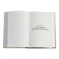 Книги конкистадора Ирвинг А. Леонард, перевод Г. Черных