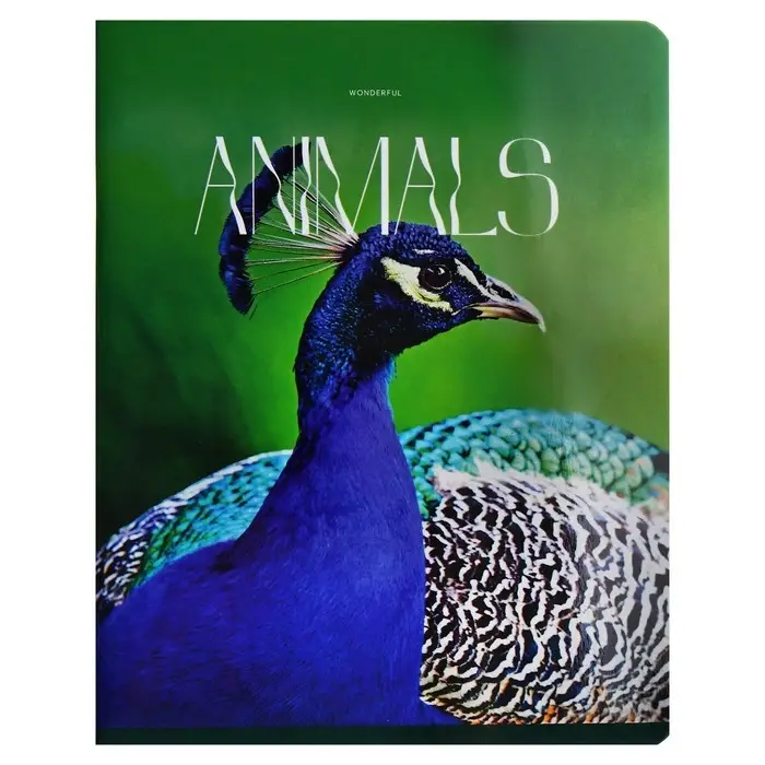 Тетрадь 96 листов в клетку на скрепке Тетрадь 96 листов в клетку на скрепке "Животные", обложка мелованный картон, глянцевая ламинация, МИКС