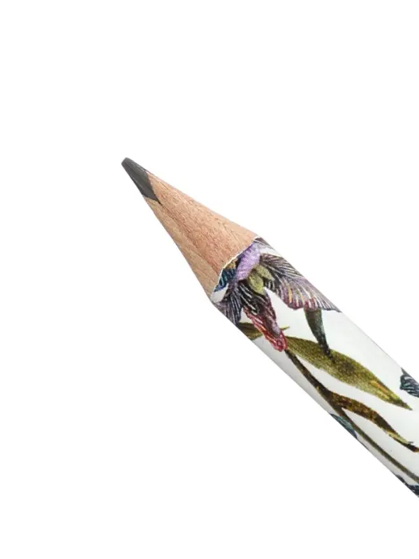 Карандаш чернографитный дизайн BrunoVisconti &laquo;Ирисы&raquo;, HВ