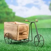 Декоративное кашпо для цветов &laquo;Велосипед&raquo;, 23&times;8&times;12 см, дерево, металл, Greengo