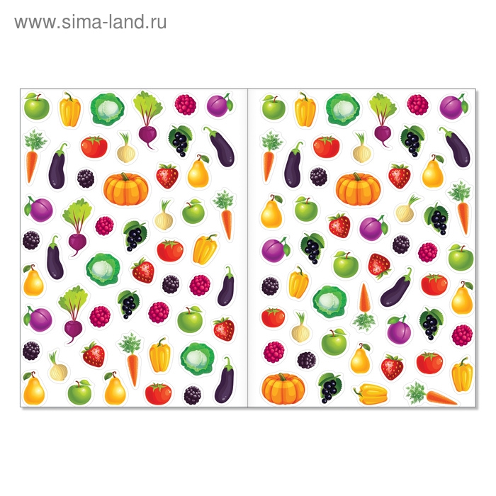 Наклейки многоразовые «Мир вокруг меня», набор 2 шт., формат А4 Наклейки многоразовые «Мир вокруг меня», набор 2 шт., формат А4