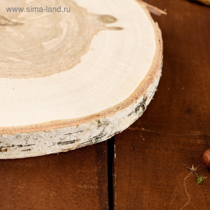 Спил берёзы, шлифованный с одной стороны, диаметр 18-22 см Спил берёзы, шлифованный с одной стороны, диаметр 18-22 см