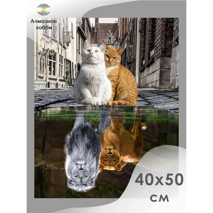 Алмазная мозаика «Отражение души» 40 × 50 см Алмазная мозаика «Отражение души» 40 × 50 см