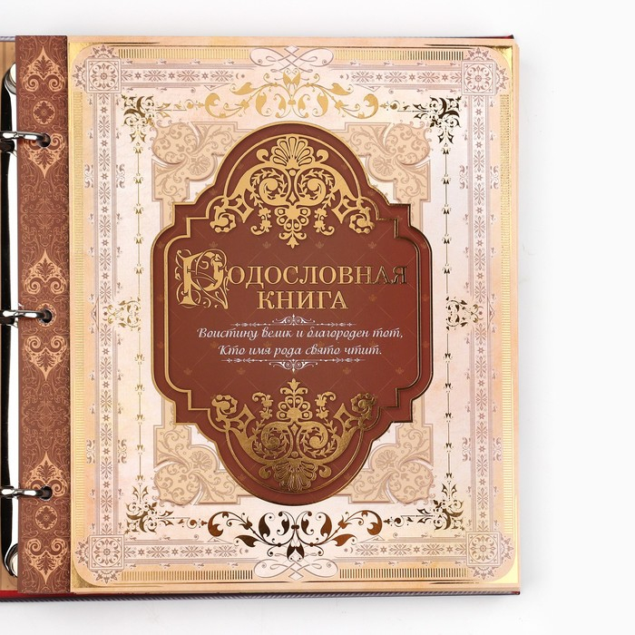 Родословная книга с рамкой под фото «Семейная книга», 50 листов, 21,5 х 23,7 см. Родословная книга с рамкой под фото «Семейная книга», 50 листов, 21,5 х 23,7 см.