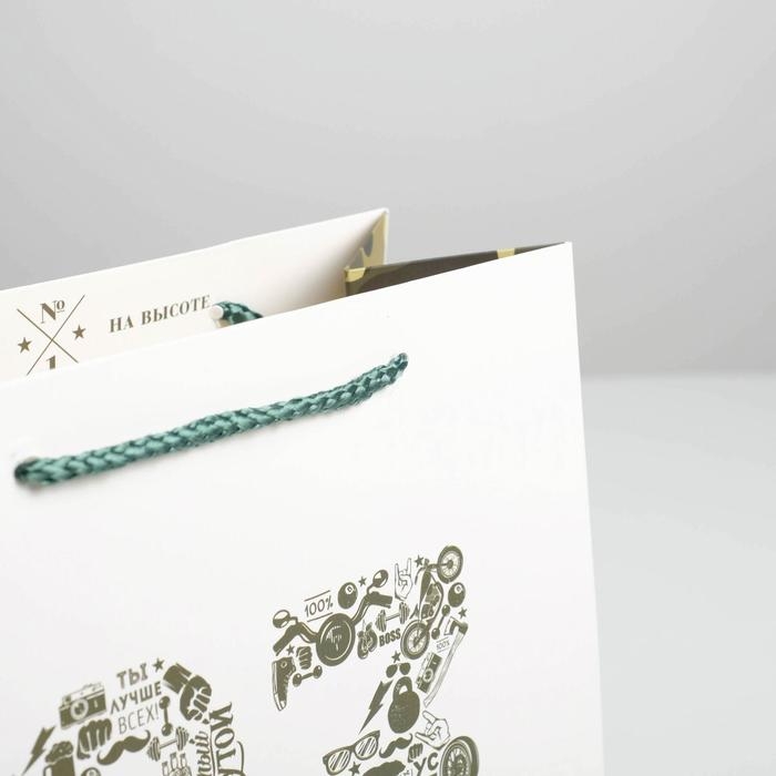 Пакет подарочный ламинированный вертикальный, упаковка, «23 февраля», ML 23 х 27 х 11,5 см Пакет подарочный ламинированный вертикальный, упаковка, «23 февраля», ML 23 х 27 х 11,5 см