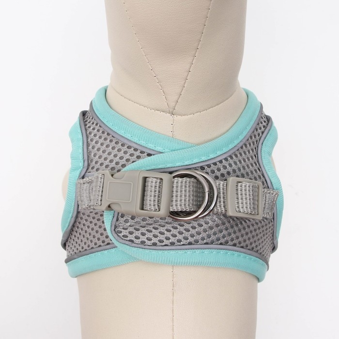 Комплект с мягкой шлейкой, быстросъемный, S, поводок 150 х 1,5 см, ОШ 33-36 см, ОГ 35-40 см, бирюз Комплект с мягкой шлейкой, быстросъемный, S, поводок 150 х 1,5 см, ОШ 33-36 см, ОГ 35-40 см, бирюз