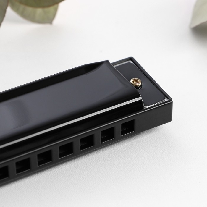 Губная гармошка Bee DF10A Black, 10 отверстий, 20 язычков Губная гармошка Bee DF10A Black, 10 отверстий, 20 язычков