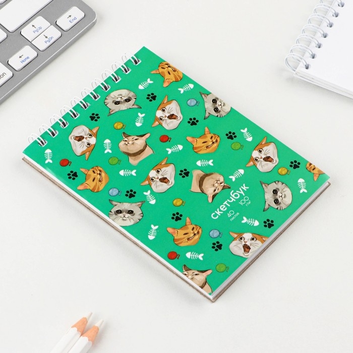 Скетчбук А6, 40 л. 100 г/м&sup2; &laquo;Коты&raquo;