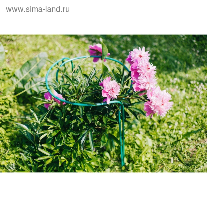 Кустодержатель, d = 40 см, h = 90 см, ножка d = 1 см, металл, набор 2 шт., зелёный Кустодержатель, d = 40 см, h = 90 см, ножка d = 1 см, металл, набор 2 шт., зелёный