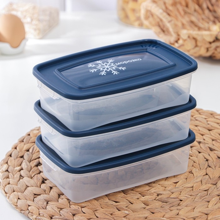 Набор контейнеров для замораживания продуктов «Морозко», 3 шт, 700 мл, цвет прозрачный, крышки МИКС Набор контейнеров для замораживания продуктов «Морозко», 3 шт, 700 мл, цвет прозрачный, крышки МИКС