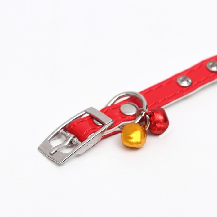 Ошейник с круглыми стразами,28 х 1 см, ОШ 21-25 см, искусств. кожа, красный Ошейник с круглыми стразами,28 х 1 см, ОШ 21-25 см, искусств. кожа, красный