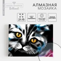 Алмазная мозаика с полным заполнением на холсте &laquo;Кот&raquo;, 15&times;21 см