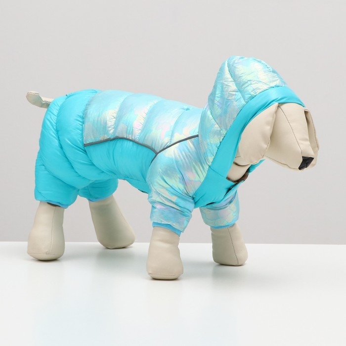 Комбинезон Комбинезон "Эфир", размер 10 (ДС 25, ОГ 34, ОШ 24 см), голубой