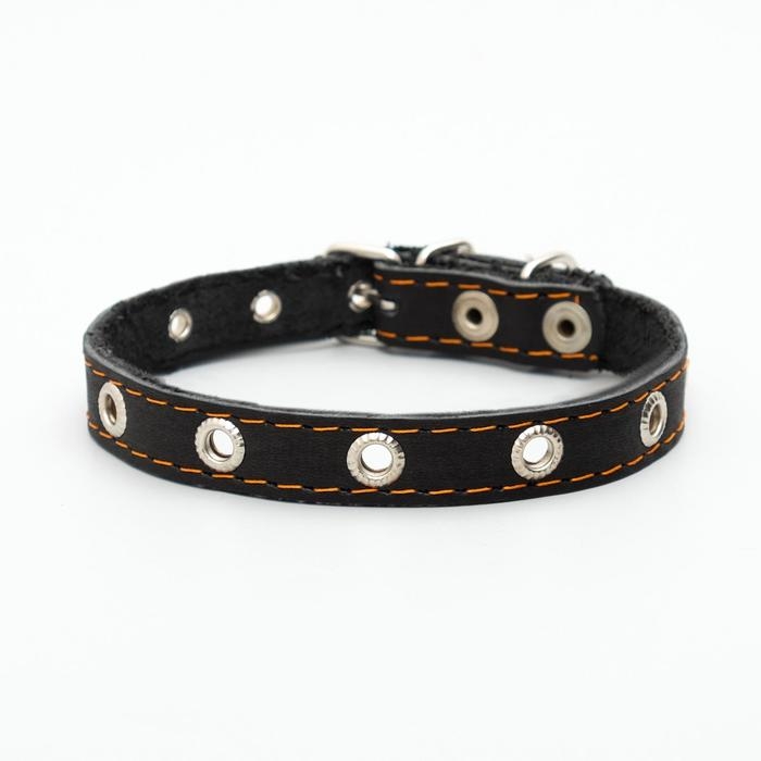 Ошейник кожаный однослойный с рифлеными люверсами, безразмерный, 40 х 1,5 см, ОШ 27-35 см, чёрный 7 Ошейник кожаный однослойный с рифлеными люверсами, безразмерный, 40 х 1,5 см, ОШ 27-35 см, чёрный 7