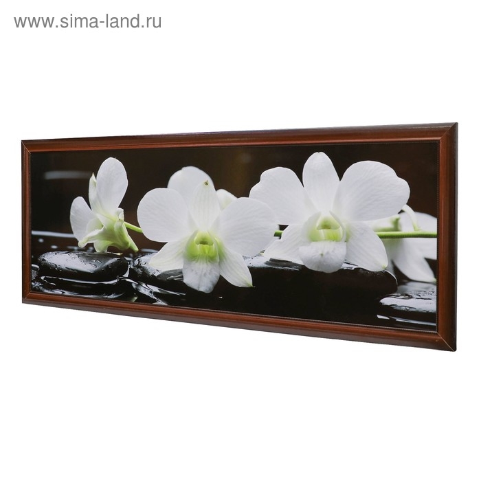 Картина  Картина "Орхидея на камнях" 47*127 см