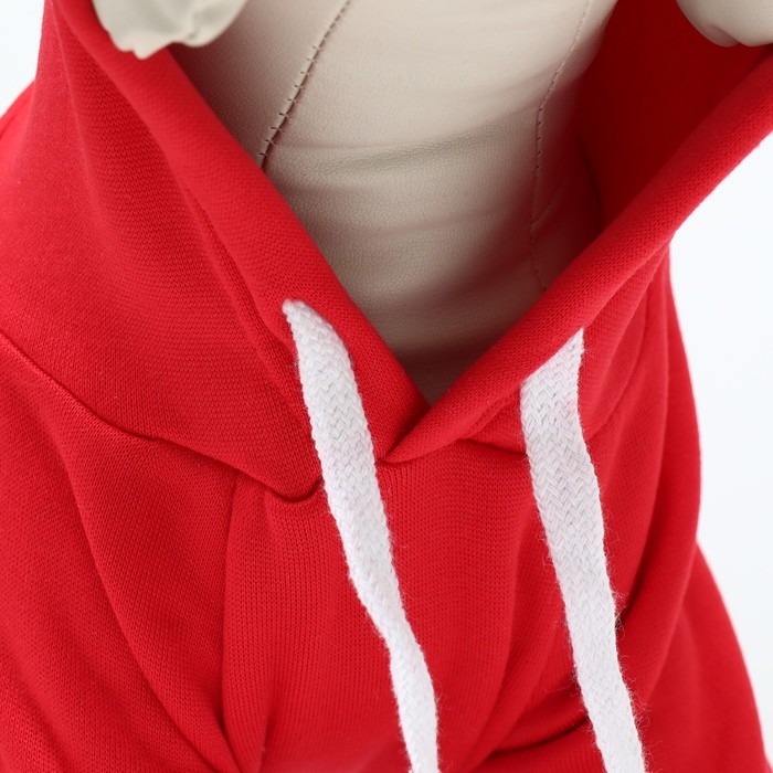 Костюм для животных Костюм для животных "Дед Мороз", размер XS, красный