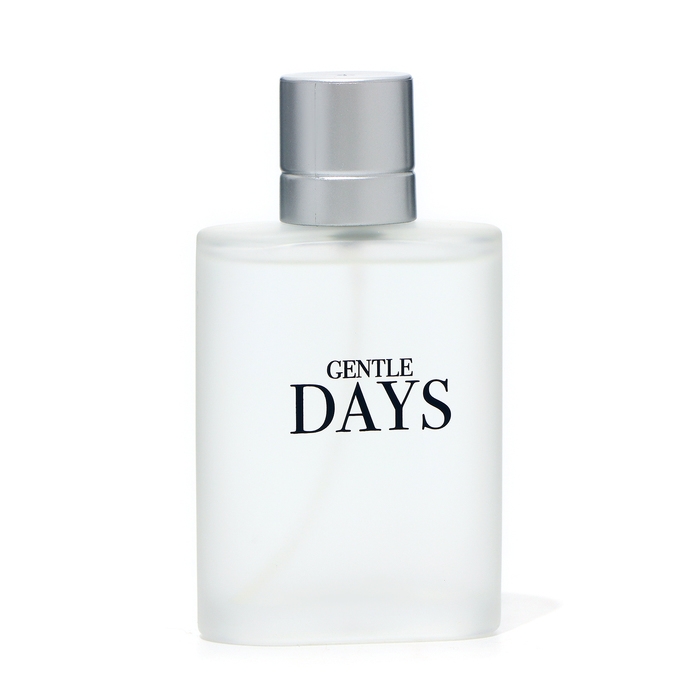 Туалетная вода мужская Gentle Days, 100 мл Туалетная вода мужская Gentle Days, 100 мл