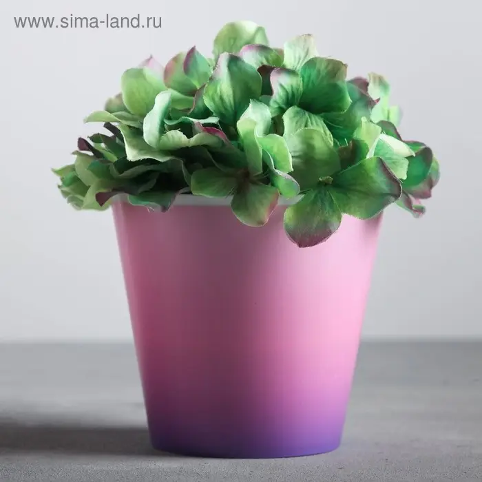 Кашпо для цветов «Розовый закат», 0,8 л, 11 х 12 см Кашпо для цветов «Розовый закат», 0,8 л, 11 х 12 см