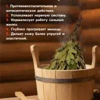 Веник для бани, дубовый, в пакете