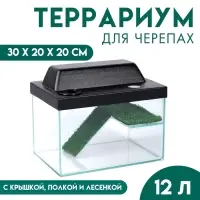Террариум для черепах 12 л, с крышкой, полкой и лесенкой, 30&times;20&times;20 см