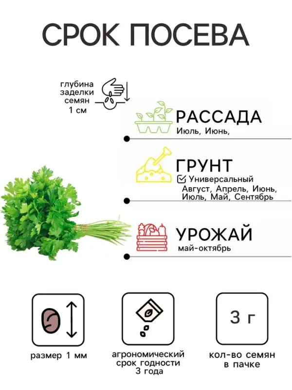 Семена Петрушка листовая &laquo;Итальянский гигант&raquo;, 3 г, &laquo;Тимирязевский питомник&raquo;