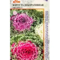 Семена Капуста декоративная "Нагойя" F1 10 шт Семена Капуста декоративная "Нагойя" F1 10 шт