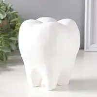 Копилка для денег &laquo;Зуб&raquo;, гипс, белый, 13&times;14&times;19 см