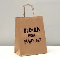 Пакет подарочный «Бесишь много лет», крафтовый, 24×14×28 см
