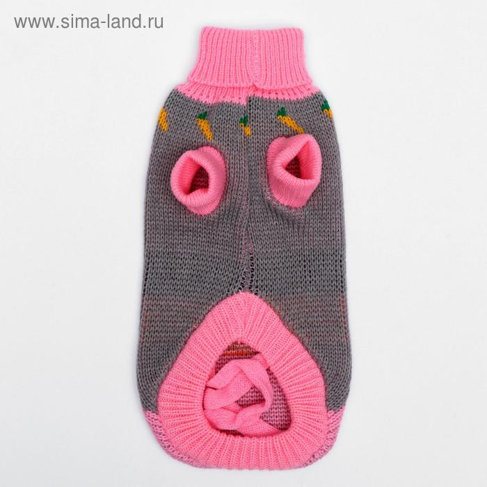 Свитер, размер 10 (ДС 30-45, ОШ 16-31, ОГ 30-45 см), микс расцветок Свитер, размер 10 (ДС 30-45, ОШ 16-31, ОГ 30-45 см), микс расцветок